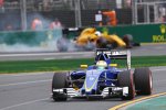 Marcus Ericsson (Sauber) 