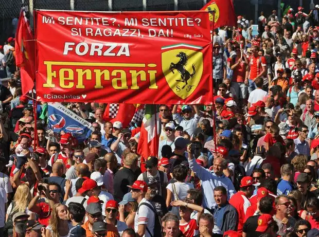 Fans Titel-Bild zur News: Fans