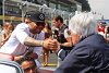 Bild zum Inhalt: Bernie Ecclestone: "Hätte gerne 100 Fahrer wie Hamilton"