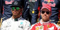 Bild zum Inhalt: "Alles Quark": Flammendes Plädoyer von Hamilton & Vettel
