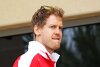 Bild zum Inhalt: Motoren, Reifen, Gewicht: Vettel über aktuell größte Probleme
