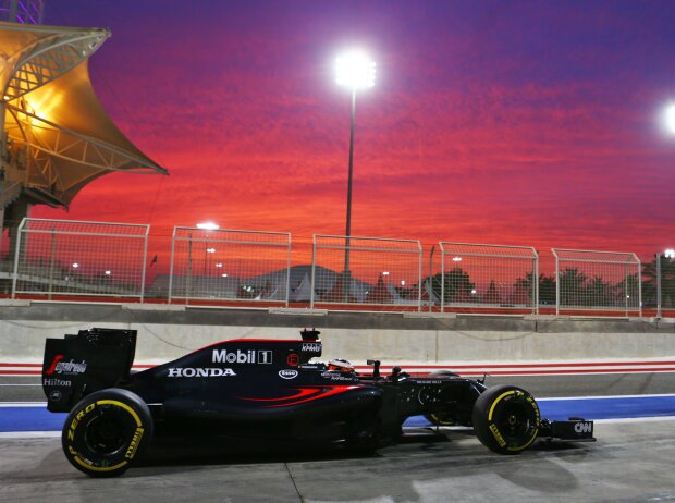 Stoffel Vandoorne Stoffel Vandoorne