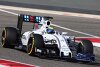 Blaues Auge für Williams: Kurznase schwer zu bändigen