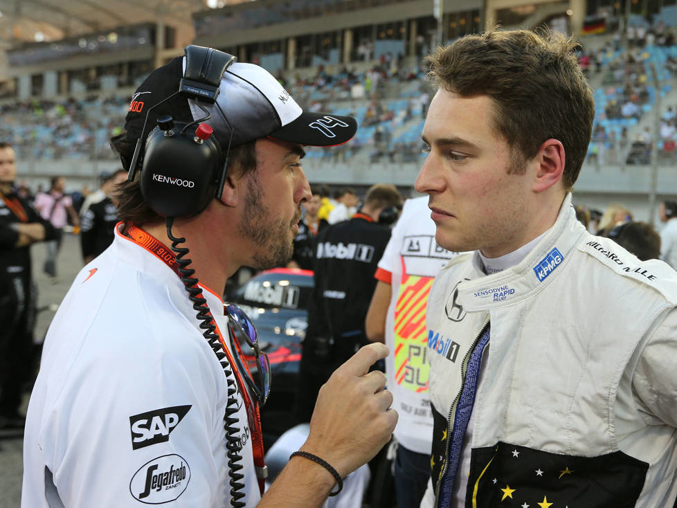 Fernando Alonso, Stoffel Vandoorne