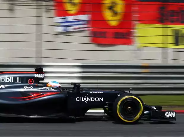 Fernando Alonso Titel-Bild zur News: Fernando Alonso