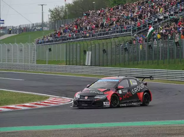 Norbert Michelisz Titel-Bild zur News: Norbert Michelisz