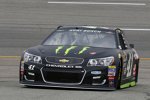 Kurt Busch (Stewart/Haas) 