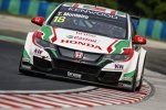 Tiago Monteiro (Honda)