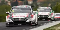 Norbert Michelisz