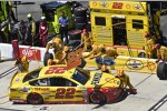 Joey Logano (Penske) 