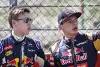 Bild zum Inhalt: Red Bull: Verstappen drückt, doch Kwjat sammelt Argumente