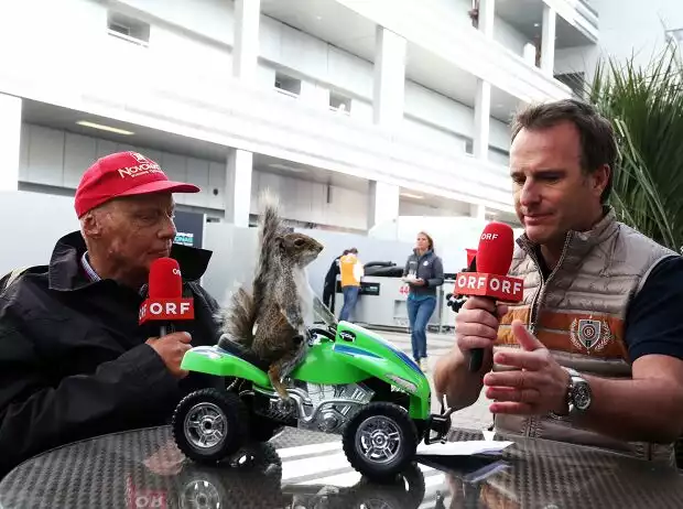 Niki Lauda und Ernst Hausleitner mit dem Eichhörnchen Titel-Bild zur News: Niki Lauda und Ernst Hausleitner mit dem Eichhörnchen