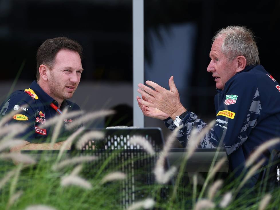 Christian Horner, Helmut Marko