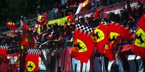 Bernie Ecclestone: Monza für "dieses Jahr" gerettet