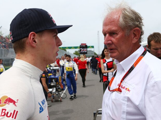 Max Verstappen, Helmut Marko