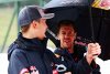 Bild zum Inhalt: Trotz Schimpftiraden: Vettel bemitleidet degradierten Kwjat