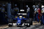 Marcus Ericsson (Sauber) 