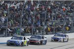Jimmie Johnson (Hendrick) 