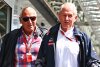 Hamiltons Partyeskapaden wären bei Red Bull "in Ordnung"