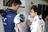 Bild zum Inhalt: Williams: Felipe Massa fährt besser als je zuvor