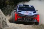 Hayden Paddon (Hyundai)