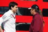 Rosberg-Verhandlungen: Berger stichelt gegen Hamilton