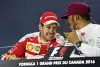 Bild zum Inhalt: Vettel & Hamilton: "Streit" wegen Selbstmord-Möwen