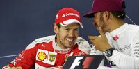 Bild zum Inhalt: Vettel & Hamilton: "Streit" wegen Selbstmord-Möwen