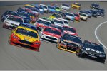 Joey Logano (Penske) 