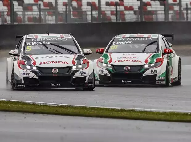 Norbert Michelisz Titel-Bild zur News: Norbert Michelisz