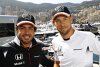 Bild zum Inhalt: Button oder Vandoorne? Alonso mit beiden Kollegen glücklich