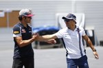 Felipe Massa (Williams) und Carlos Sainz (Toro Rosso) 