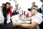 Felipe Massa (Williams) 