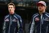 Bild zum Inhalt: Toro Rosso: Sainz zu Renault, Gasly Partner von Kwjat?