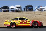 Joey Logano (Penske) 