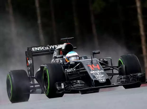 Fernando Alonso Titel-Bild zur News: Fernando Alonso