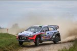 Hayden Paddon (Hyundai)