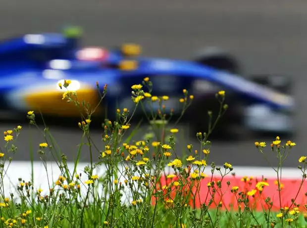 Felipe Nasr Titel-Bild zur News: Felipe Nasr