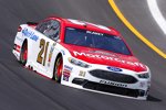 Ryan Blaney (Wood) 