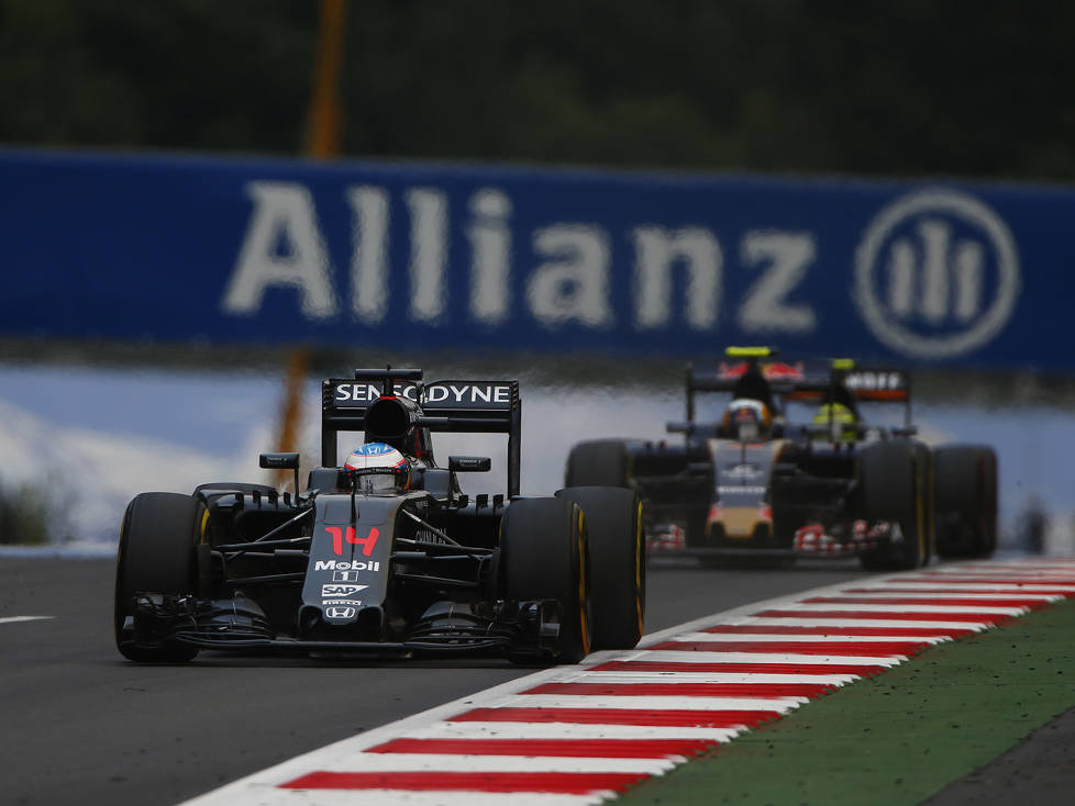 Fernando Alonso, Carlos Sainz