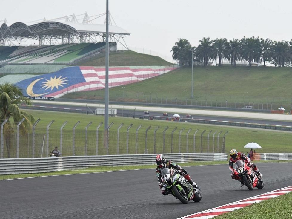 Jonathan Rea, Chaz Davies