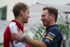Bild zum Inhalt: Horner: Flüchtet Sebastian Vettel 2018 zu Mercedes?