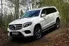 Bild zum Inhalt: Mercedes-Benz GLS 500 4Matic: Von höherer Warte