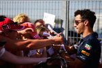 Daniel Ricciardo (Red Bull) 