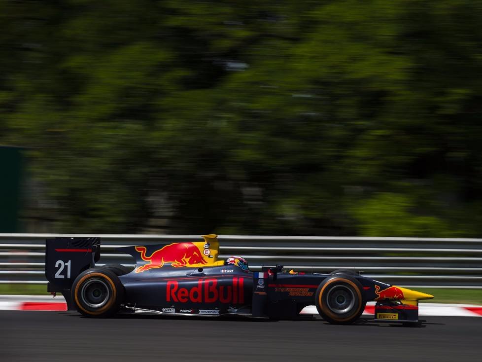 Pierre Gasly
