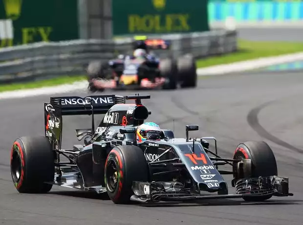 Fernando Alonso Titel-Bild zur News: Fernando Alonso