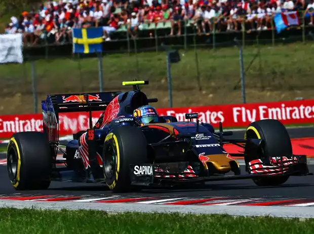 Carlos Sainz Titel-Bild zur News: Carlos Sainz