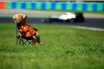 Nico Rosberg (Mercedes) 