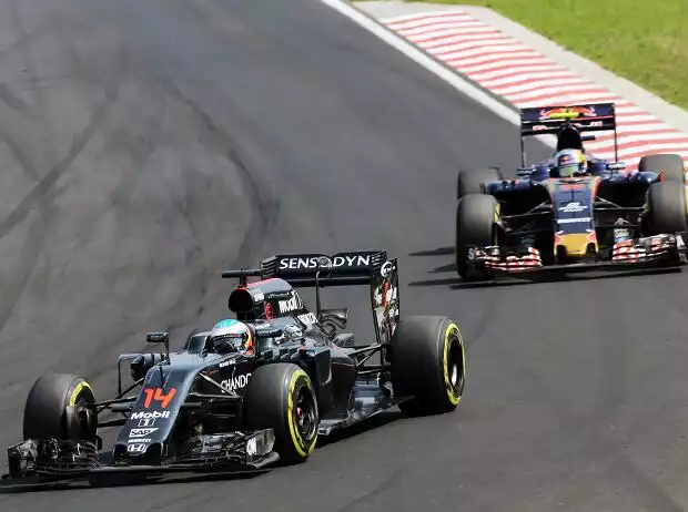 Fernando Alonso Titel-Bild zur News: Fernando Alonso