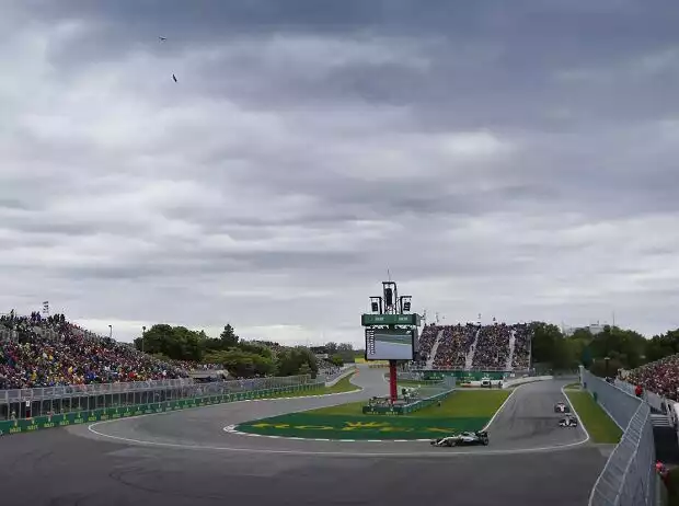 Lewis Hamilton, Felipe Nasr, Rio Haryanto Titel-Bild zur News: Lewis Hamilton, Felipe Nasr, Rio Haryanto